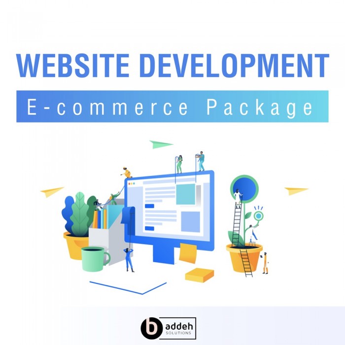 Website Development - E-Commerce Professional