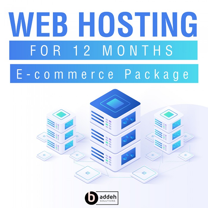 Web Hosting - Professional Package